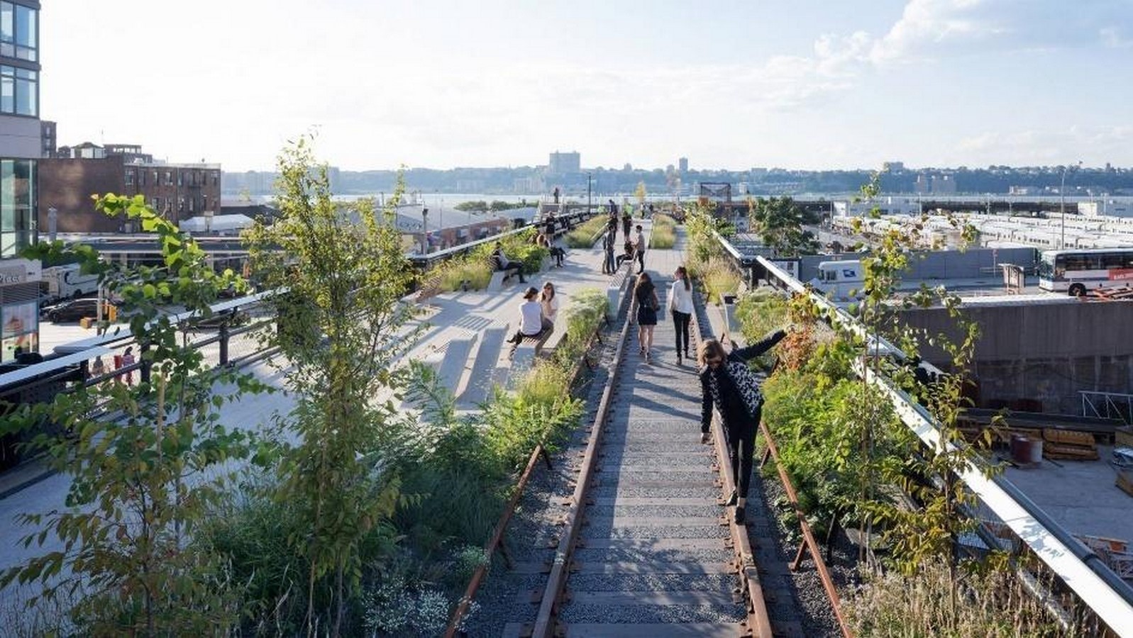 Rewilding Urban Spaces Through Post-Anthropocentric Thinking-Sheet4