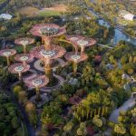Rewilding Urban Spaces Through Post-Anthropocentric Thinking-Sheet5