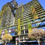 Rewilding Urban Spaces Through Post-Anthropocentric Thinking-Sheet6
