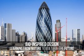 Curated visual reference: Visual Reference: Bio Inspired Design Learning From Nature To Build For The
