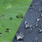 Bio-Inspired Design Learning from Nature to Build for the Future-Sheet3