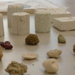 Bio-Inspired Design Learning from Nature to Build for the Future-Sheet4