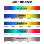 The Role of Color and Light in Architectural Psychology-Sheet4