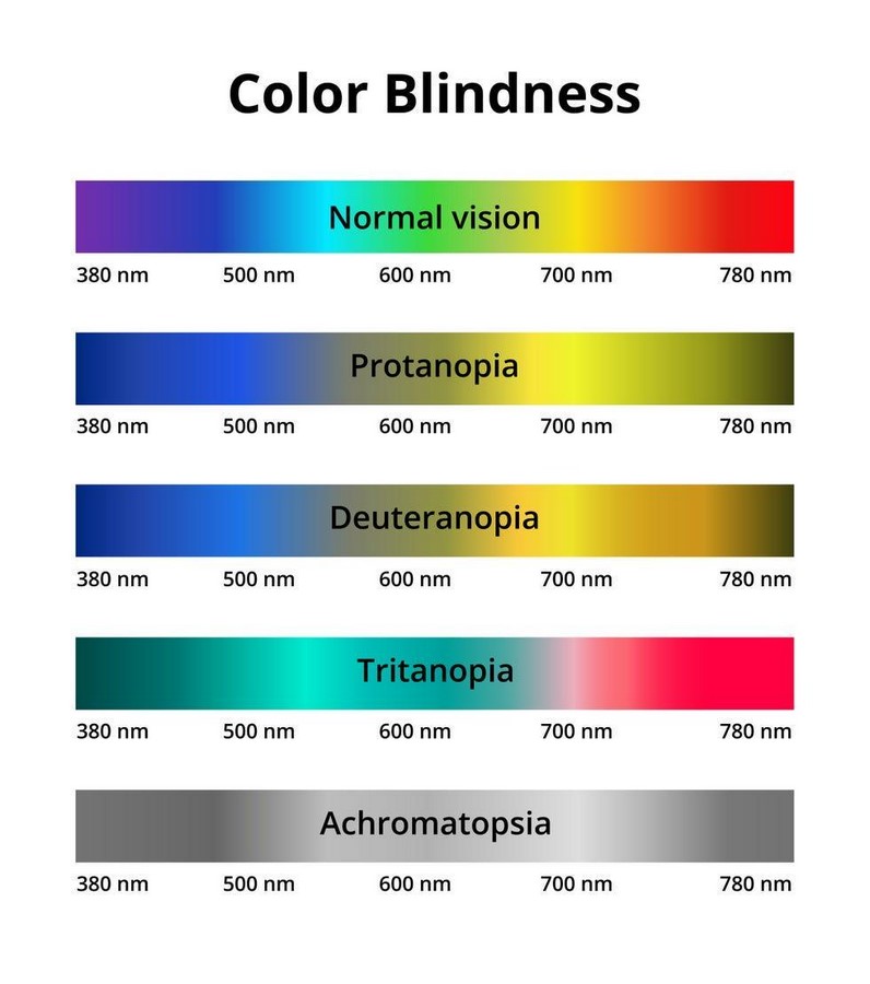 The Role of Color and Light in Architectural Psychology-Sheet4