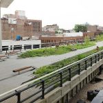 Multispecies Urbanism Expanding Architecture Beyond Human-Centric Design-Sheet2