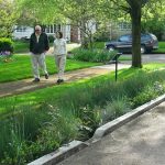 Multispecies Urbanism Expanding Architecture Beyond Human-Centric Design-Sheet7