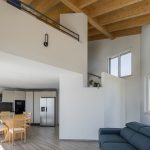 SWISSHOUSE XL in Coldrerio, Switzerland by Davide Macullo Architects-Sheet3