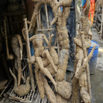 The Hands Behind The Divine The Story Of Kumartuli-Sheet13