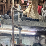 The Hands Behind The Divine The Story Of Kumartuli-Sheet39