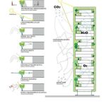 Spaces That Breathe A Timeline That Flows Into the Future-Sheet3