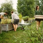 Beyond Buildings How Sustainable Architecture Shapes an Eco-Conscious Future-Sheet10