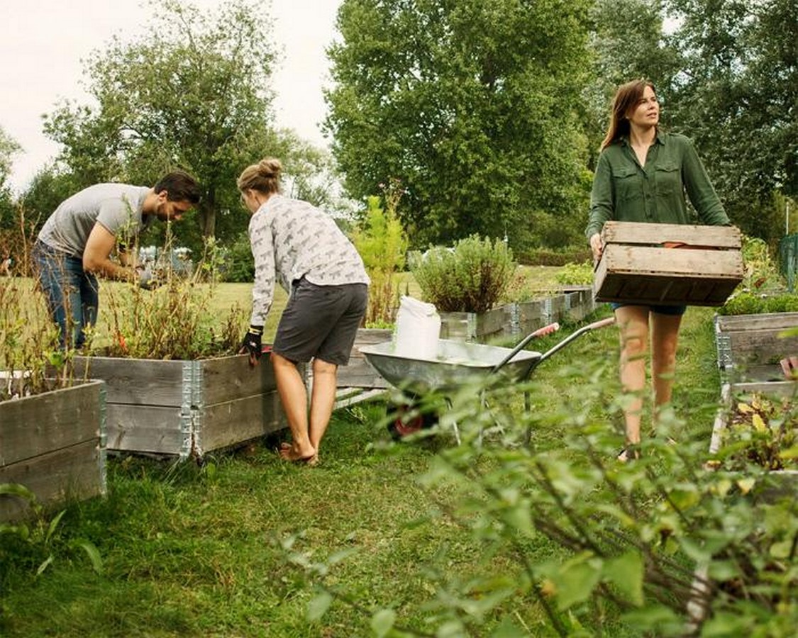 Beyond Buildings How Sustainable Architecture Shapes an Eco-Conscious Future-Sheet10