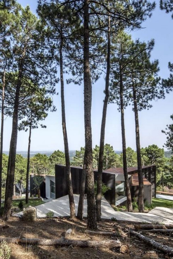 An architectural review of Casa Szoke in The Room Next Door-Sheet4