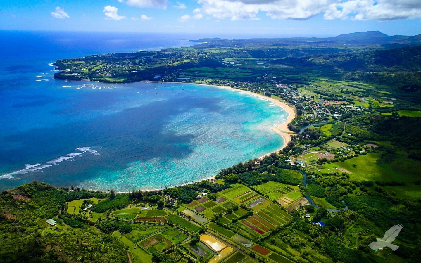Project in-depth Hale Napo'o, Kauai, by Olson Kundig Architects-Sheet2