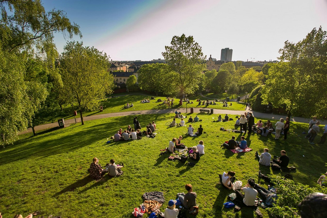 The Role of Happiness in Transforming Cities Through Urban Design-Sheet1