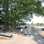 The Role of Architecture in Introducing More Nature in Children's Lives-Sheet1