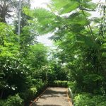 Urban Acupuncture in Green Architecture-Sheet2