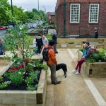 Urban Acupuncture in Green Architecture-Sheet5