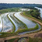 Blue Infrastructure- When Cities Let Water Take the Stage-Sheet5