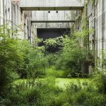 Adaptive Reuse and Ecological Restoration Buildings as Habitats-Sheet1