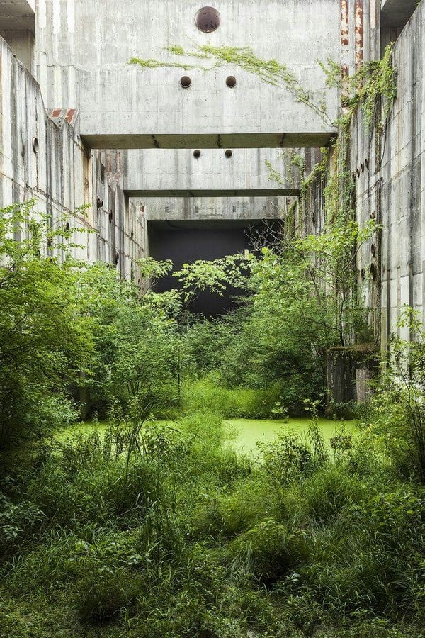 Adaptive Reuse and Ecological Restoration Buildings as Habitats-Sheet1