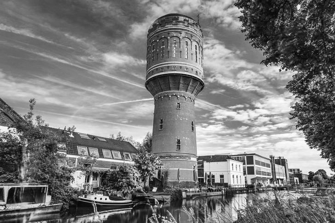 Adaptive Reuse and Ecological Restoration Buildings as Habitats-Sheet2