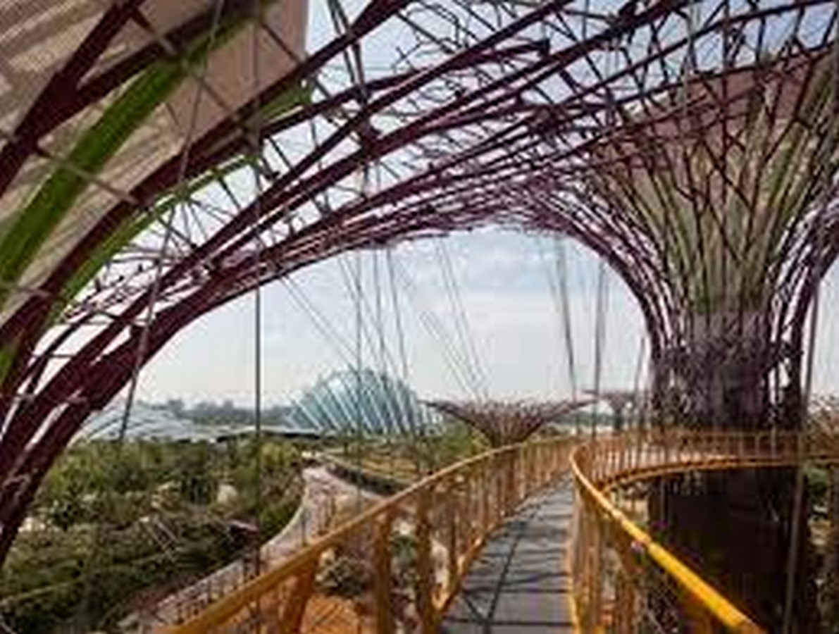 From Concrete to Care The Story of Sustainable Architecture-Sheet4