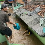 The Role of Architecture in Combating Climate Change-Sheet12
