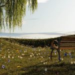 Privatization of Public Spaces Whose City Is It-Sheet4