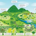 Ecological boundaries of Urban design-Sheet4