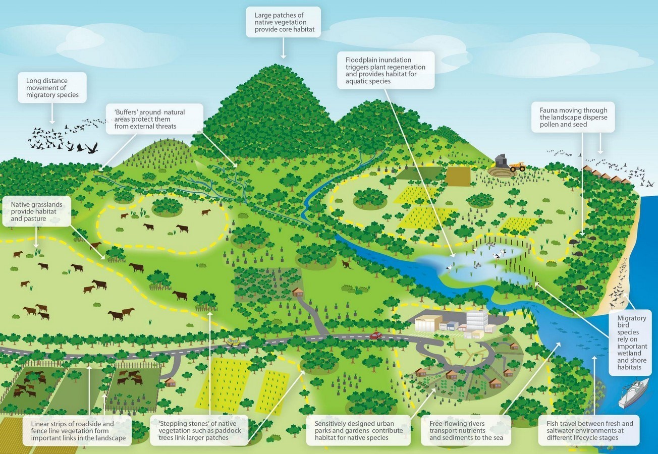 Ecological boundaries of Urban design-Sheet4