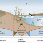 Ecological boundaries of Urban design-Sheet5