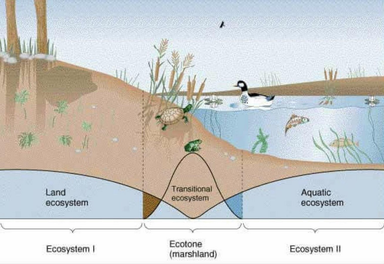 Ecological boundaries of Urban design-Sheet5