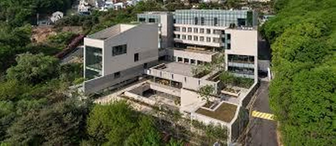 Architectural Firm in 2025: Samoo Architects & Engineers - RTF ...