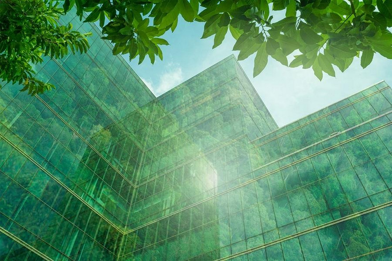 The Ethics of Greenwashing A Critical Lens on Eco-Labels in Architecture-Sheet4