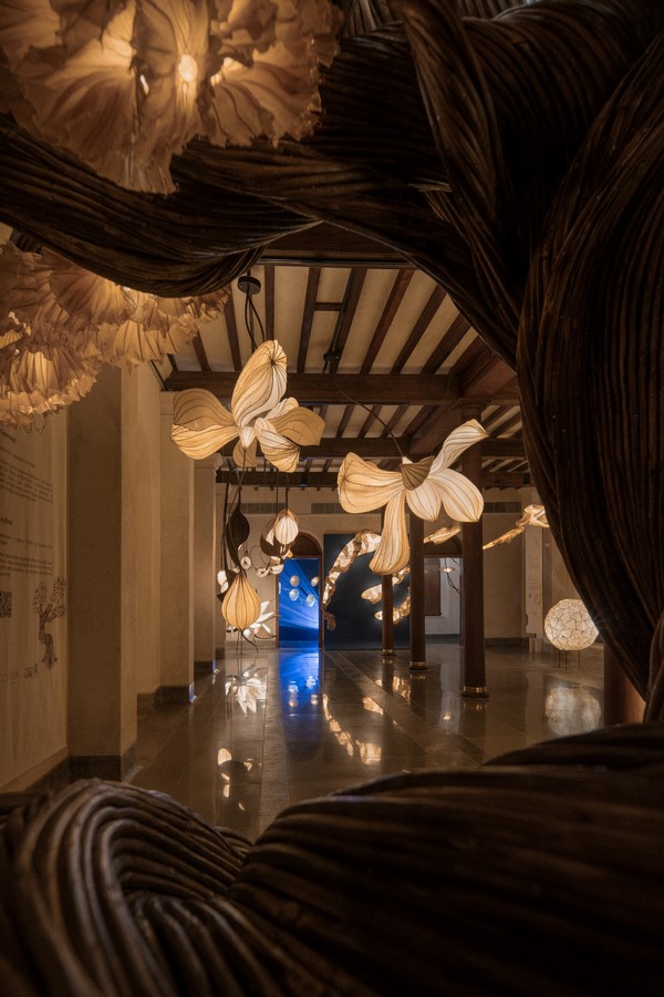Nature Inspired Lighting Collection by Oorjaa-Sheet1