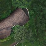 Earth's Embrace by Raving Dots Studio-Sheet1