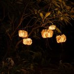 “Green Diwali” Lights That Celebrate Nature, Craft-Sheet1