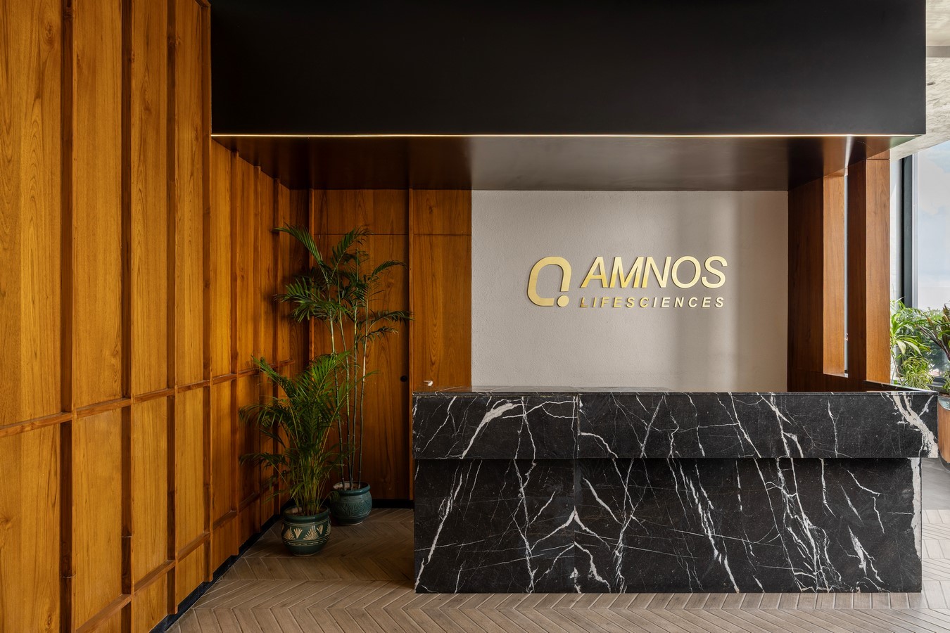 Amnos Lifesciences Headquarters by House of DC-Sheet3