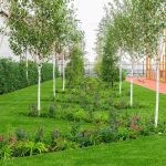 Moldova’s First Solar‑Powered Sports Centre by LH47 ARCH-Sheet4
