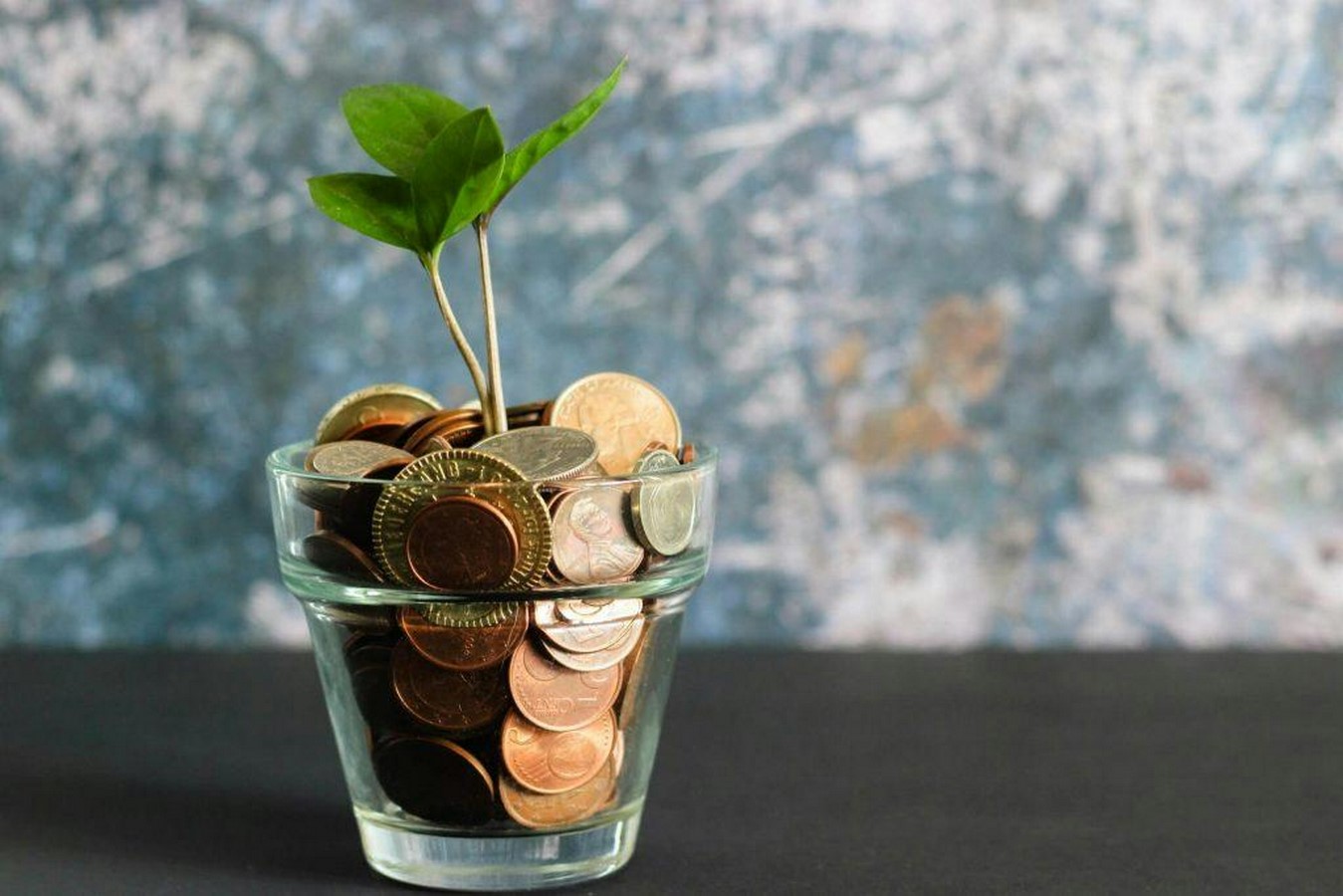 Who Can Afford to Be Sustainable Bridging the Gap Between Eco-Design and Economic Access-Sheet1