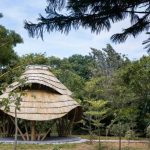 Healing Architecture Echoing Waves of Serenity Within the Walls-Sheet1