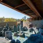 Healing Architecture Echoing Waves of Serenity Within the Walls-Sheet2