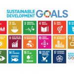 Green Architects, Grey Habits Rethinking Digital Sustainability-Sheet5