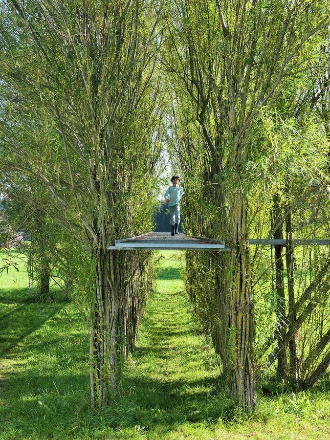 What if Trees Were Architects Designing with Nature’s Logic-Sheet1