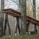 What if Trees Were Architects Designing with Nature’s Logic-Sheet12