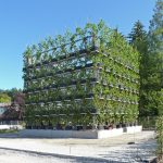 What if Trees Were Architects Designing with Nature’s Logic-Sheet3