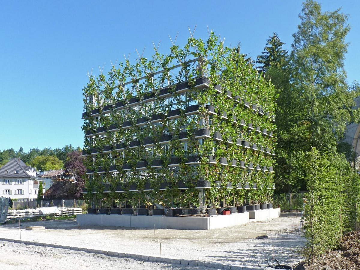What if Trees Were Architects Designing with Nature’s Logic-Sheet3
