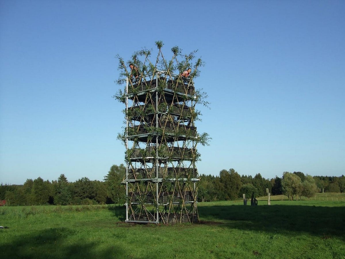 What if Trees Were Architects Designing with Nature’s Logic-Sheet4