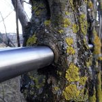 What if Trees Were Architects Designing with Nature’s Logic-Sheet5